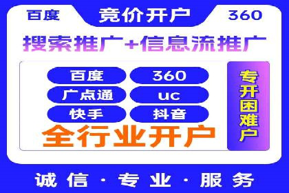 解析某某SEM服务公司的广告投放策略与效果评估
